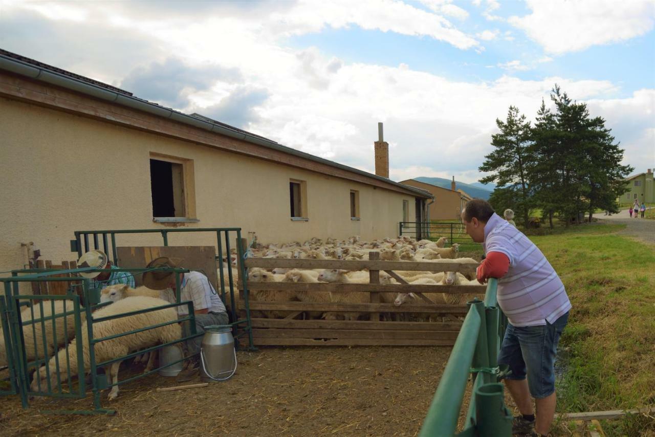 Bio Farma & Penzion Zlaty Hyl Novacany Zewnętrze zdjęcie