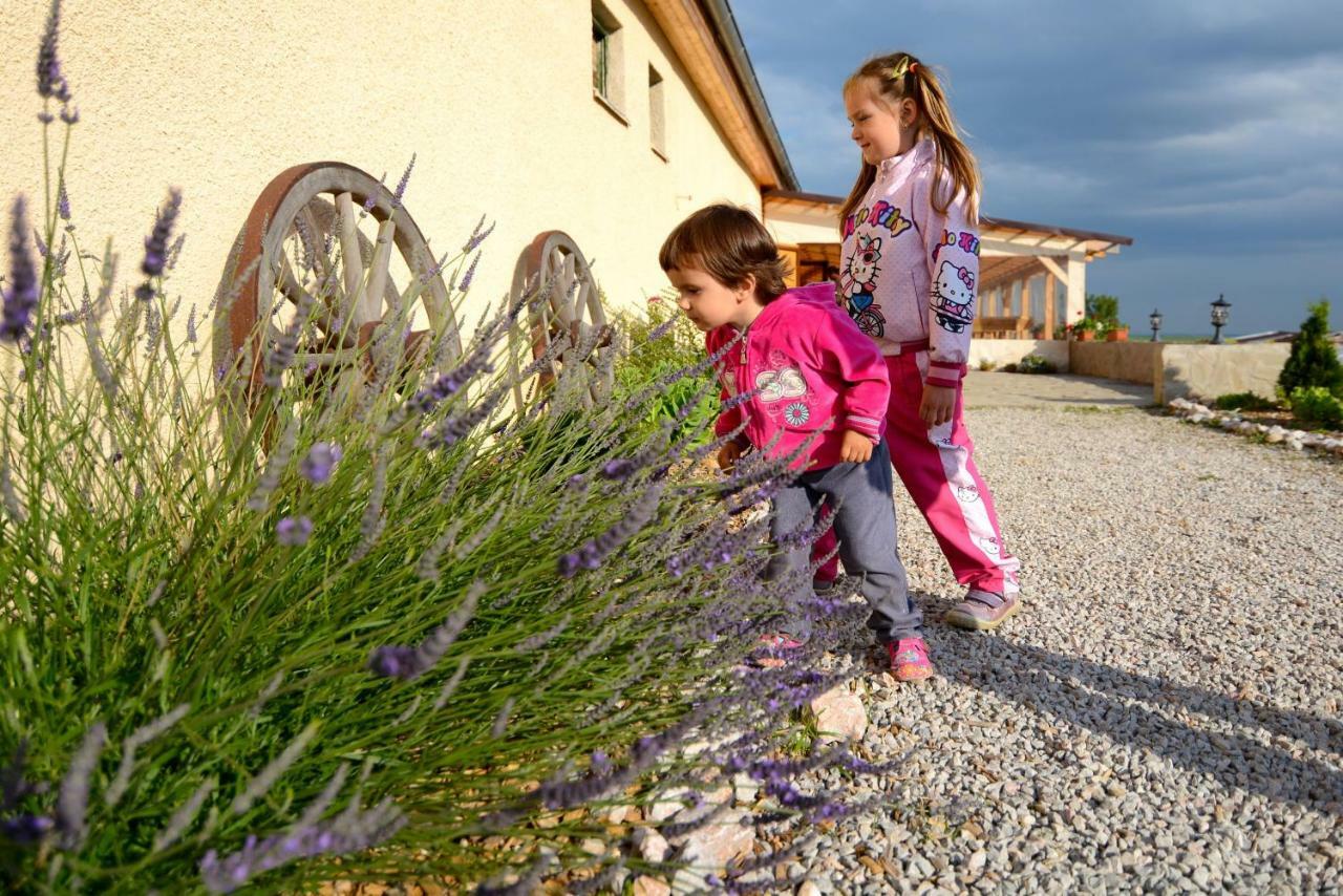 Bio Farma & Penzion Zlaty Hyl Novacany Zewnętrze zdjęcie