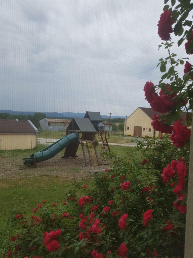 Bio Farma & Penzion Zlaty Hyl Novacany Zewnętrze zdjęcie
